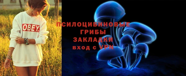 прущие крисы Бородино