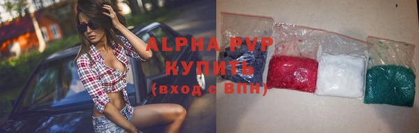 прущие крисы Бородино