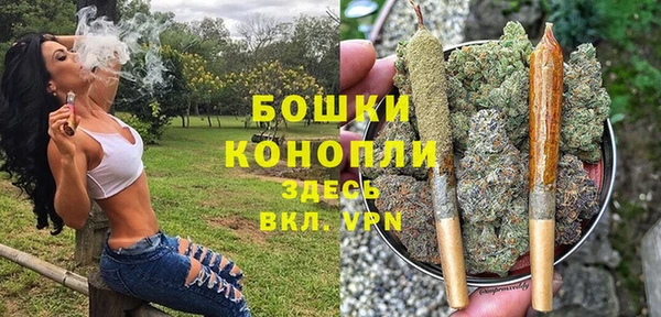 прущие крисы Бородино