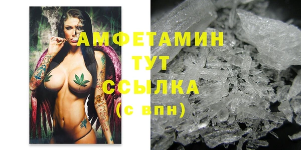 прущие крисы Бородино