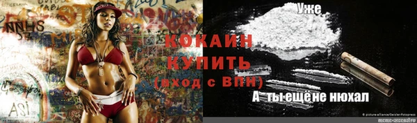 прущие крисы Бородино